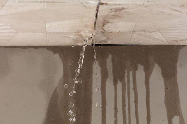 Professional Structural Drying technician working in Charleston, MO